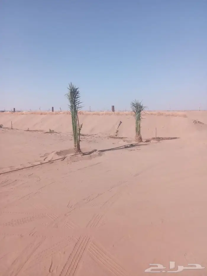 يتوفر لدينا جميع انواع انخيل وجميع المقاست وتركيب الشبوك 0