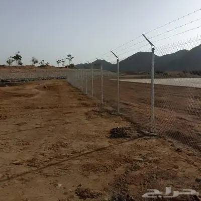 مقول شبوك 0