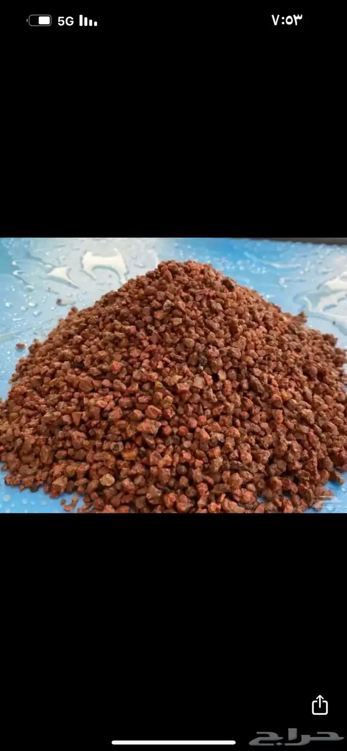بطحاء حايل فرش زينه 17