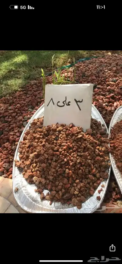 بطحاء حايل فرش زينه 4