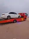 سطحه طريف 0