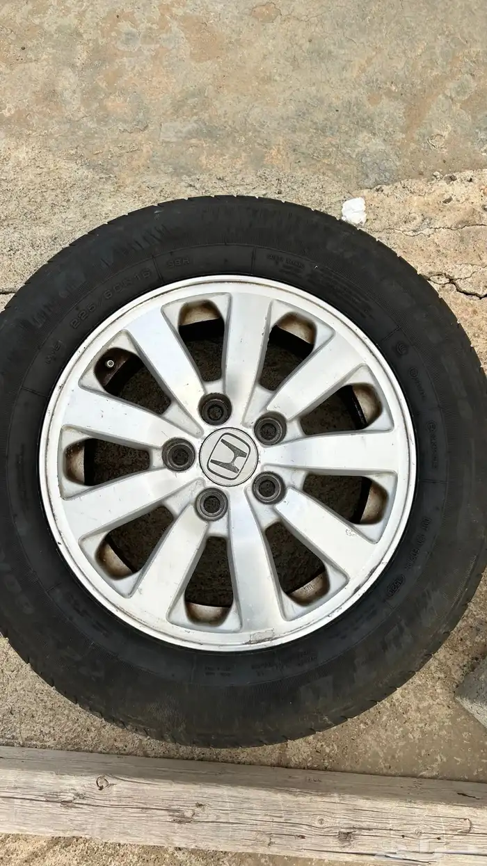 جنوط اكورد 1