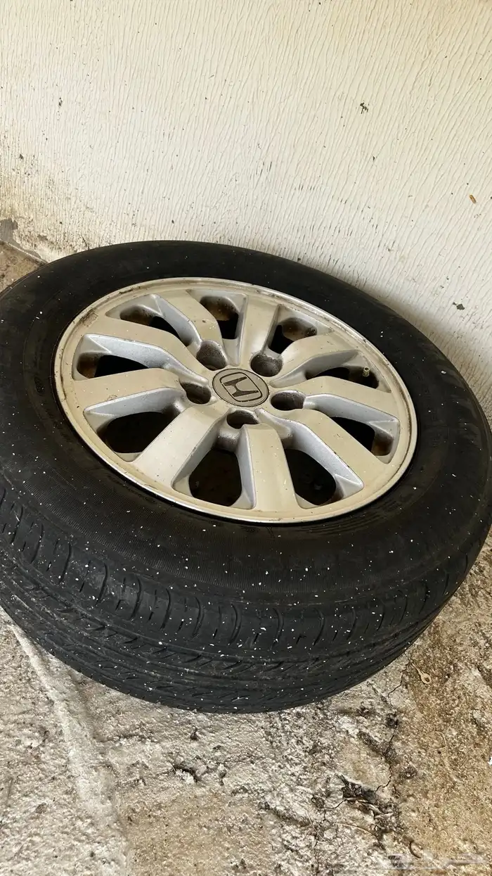 جنوط اكورد 0