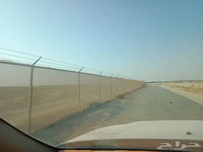 زراعه نخيل 9