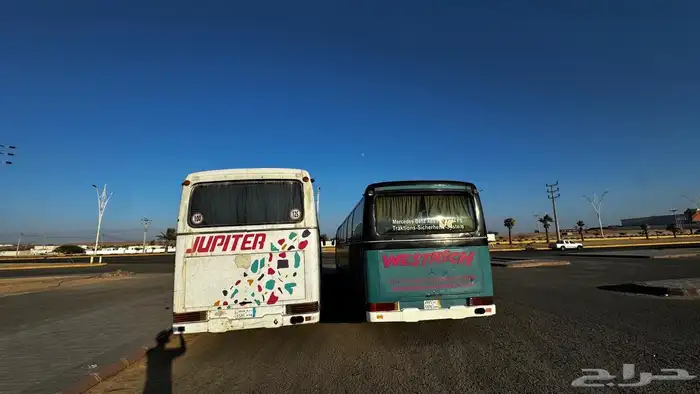 باصين مرسيدس للايجار الموقع املج 0