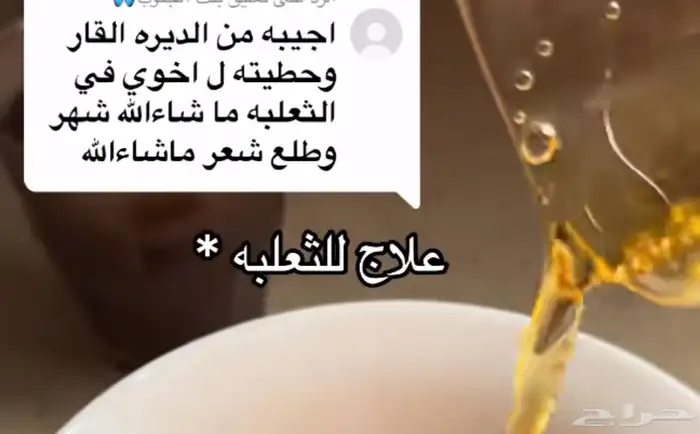 زيت قطران مغربي 8
