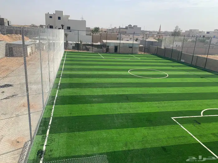 انجيلة ملاعب 6
