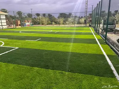 انجيلة ملاعب 8