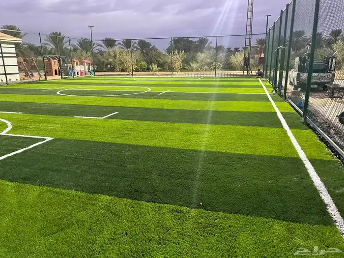 انجيلة ملاعب 8