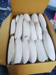 عظم حبار نشار خشب دواجن 0