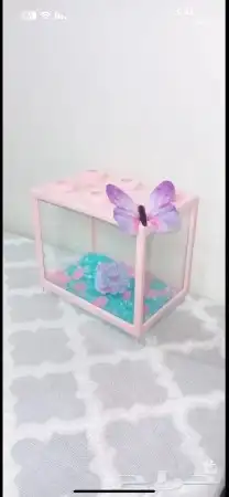 أسماك فايتر اللون نادره وجاهزه للإنتاج واحواض منسقه 6