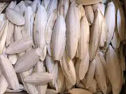 عظم حبار نشار خشب دواجن 3