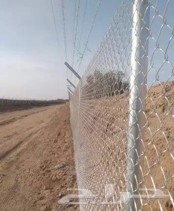 مقاول شبوك وزراعه اشجار النخيل 0