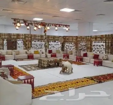 تاجير كنب مفرد كنب ثلاثي كنب في اي بي كنب مخمل كراسي ملكي 1