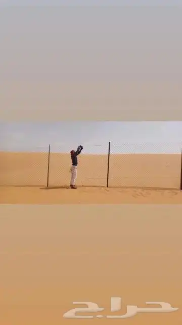 مقاول شبوك وزراعه اشجار النخيل 7