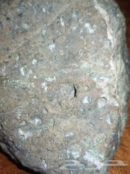 حجر حاضن بلورات.stone containing crystals 2