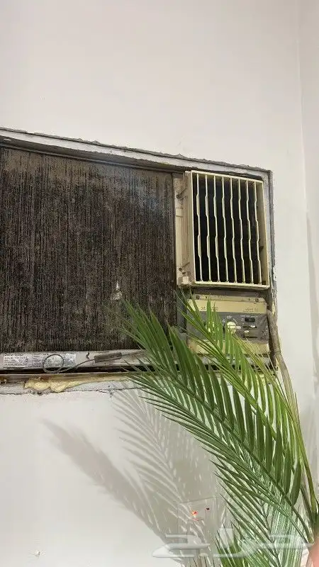 محركذ ابو فهد اللتبرد 4