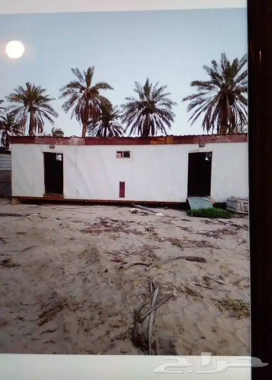بالرتبل مت قريتين وحمامين في كل قرفه 2