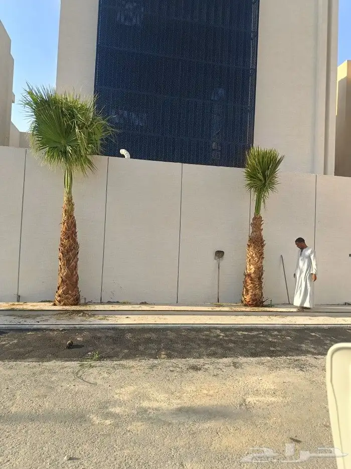 يوجد لدينا جميع انواع الاشجار والنخيل والثيل 4