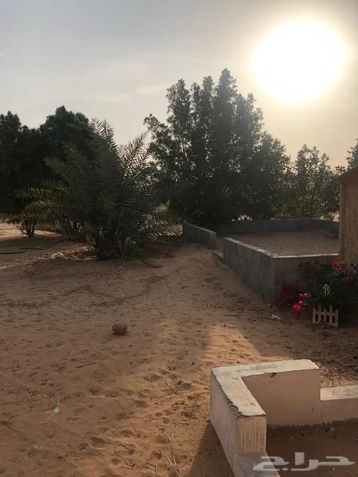 استراحه للايجار 0