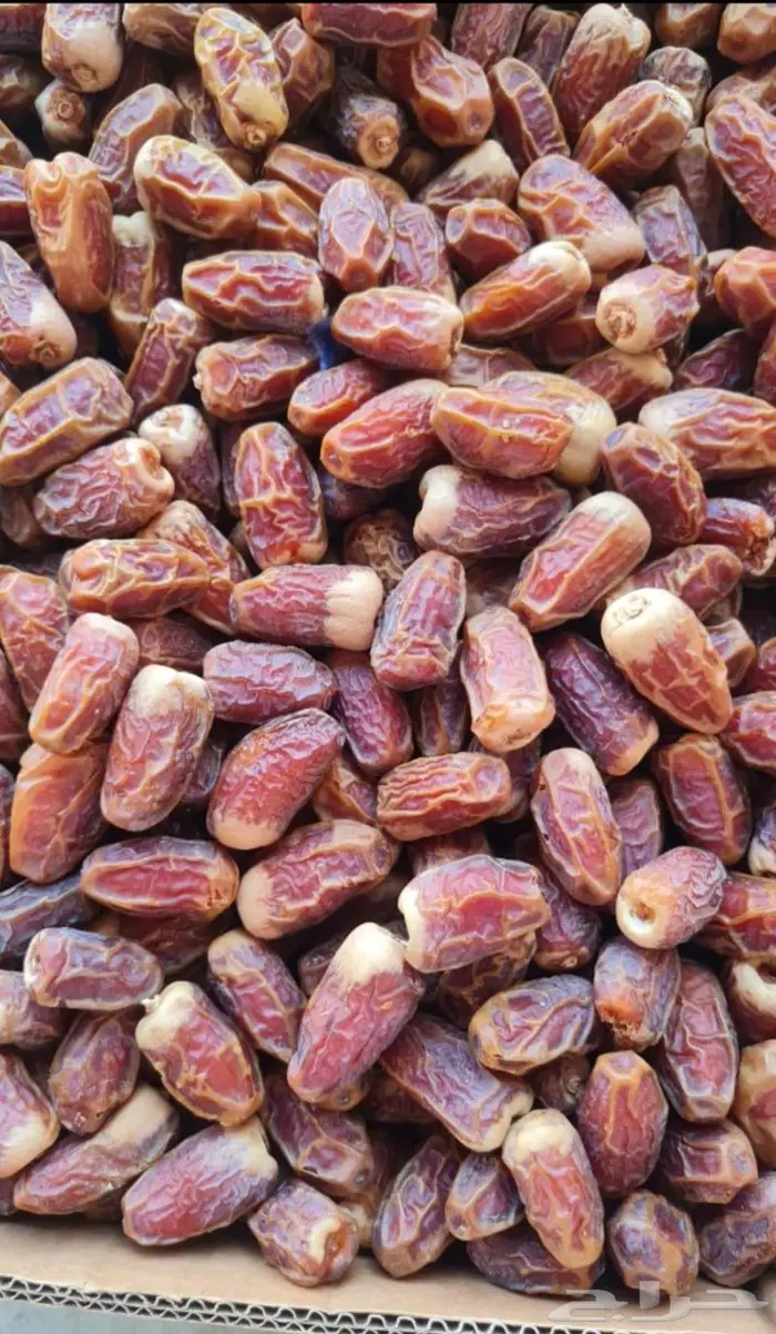 تمور المدينة عجوة صفاوي عنبر 3