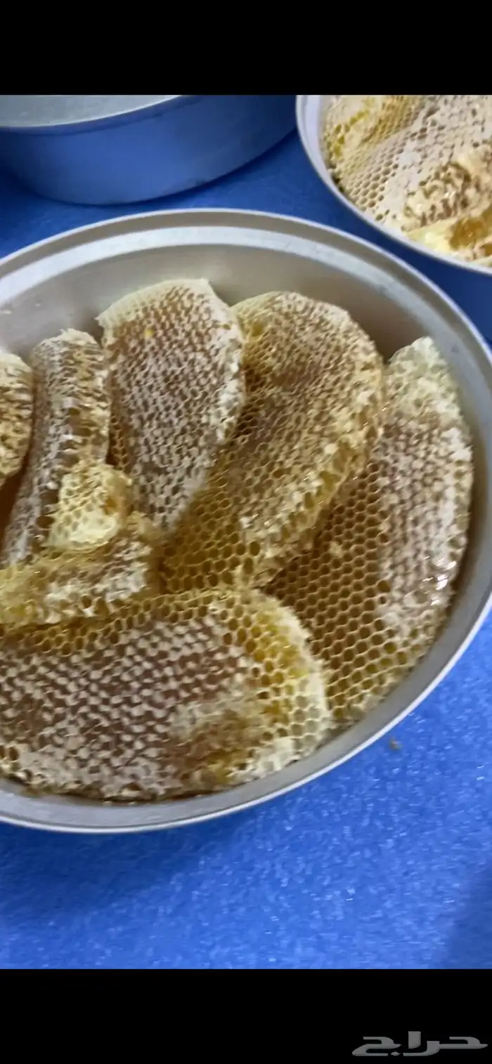عسل سدر للبيع 8