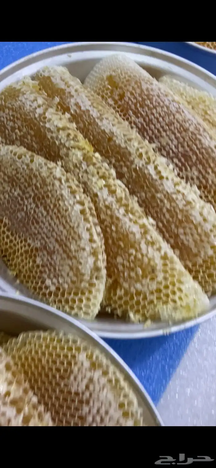 عسل سدر للبيع 9