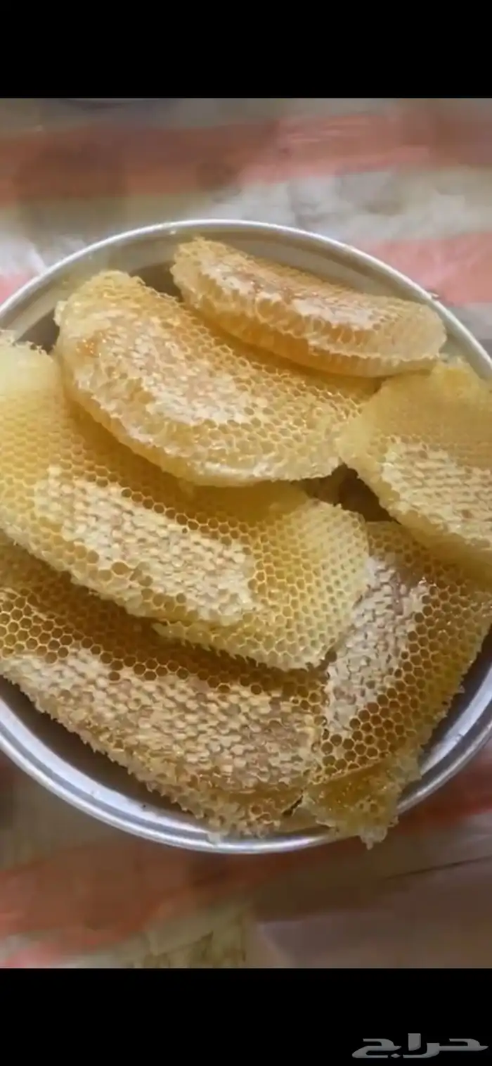 عسل سدر للبيع 4