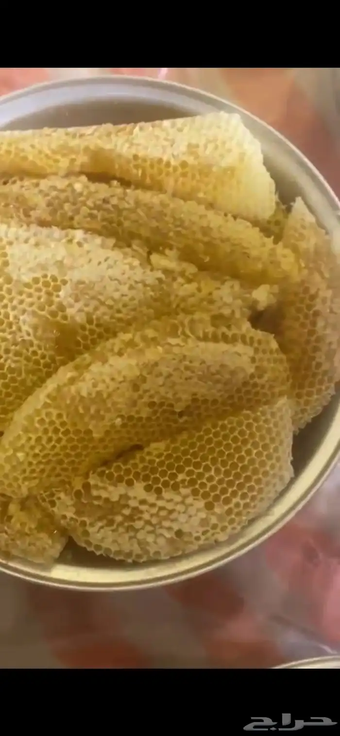 عسل سدر للبيع 6