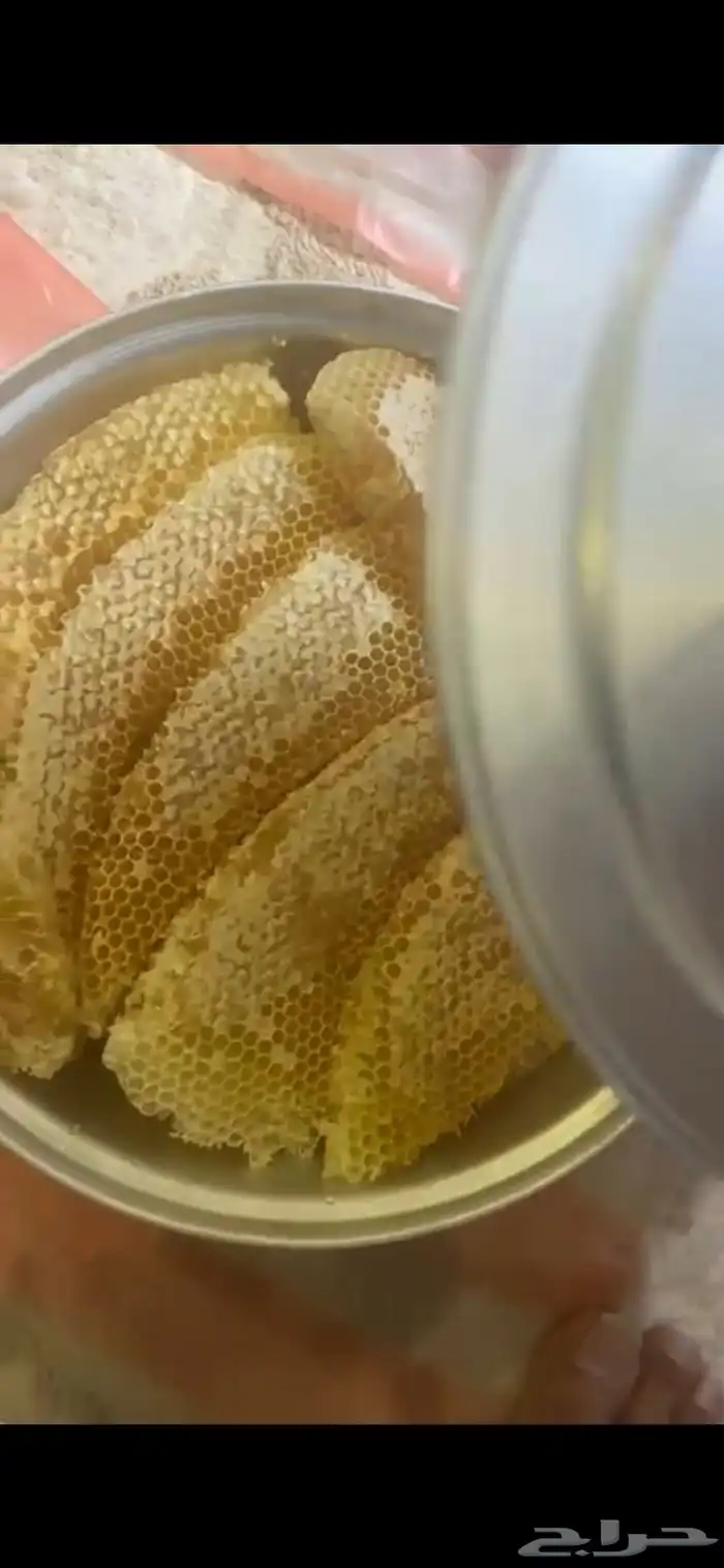 عسل سدر للبيع 7