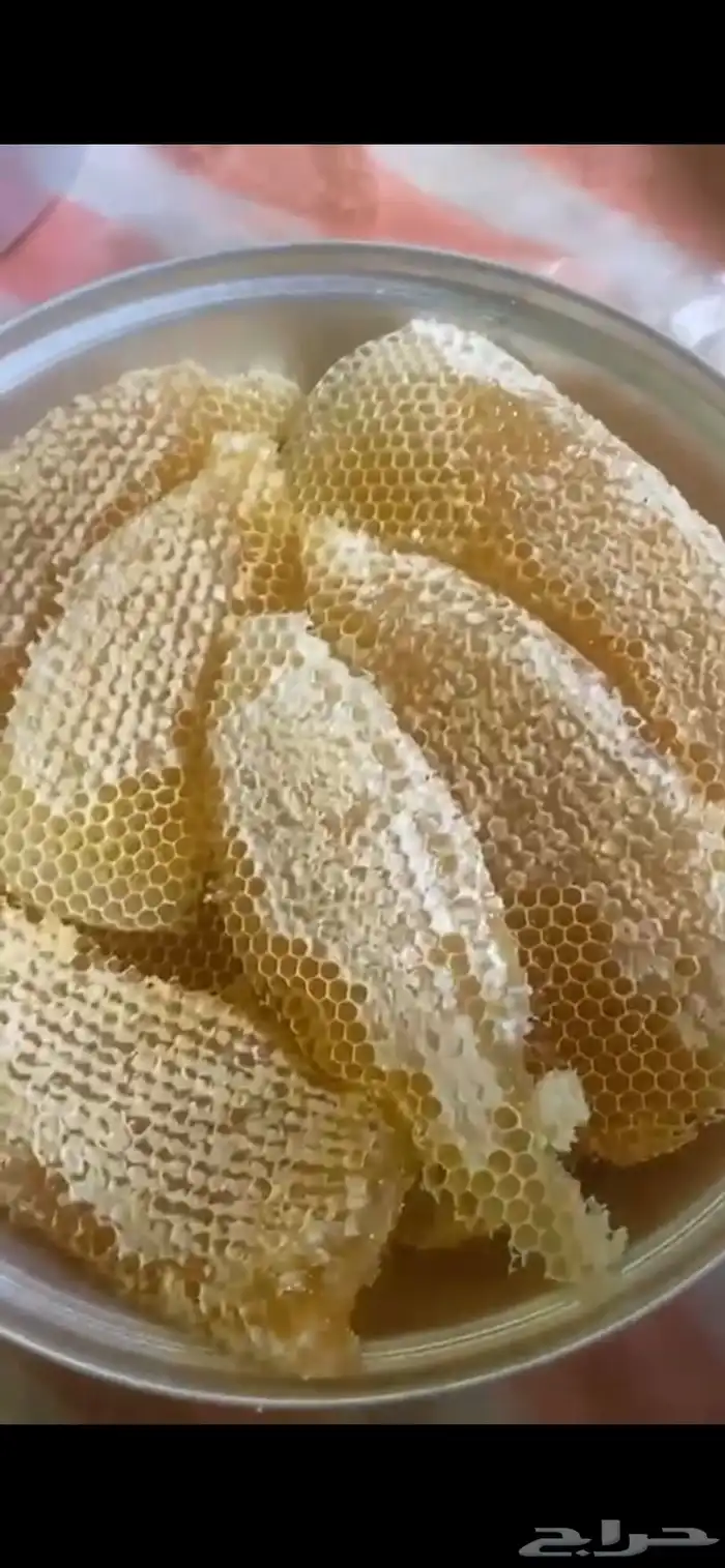 عسل سدر للبيع 2