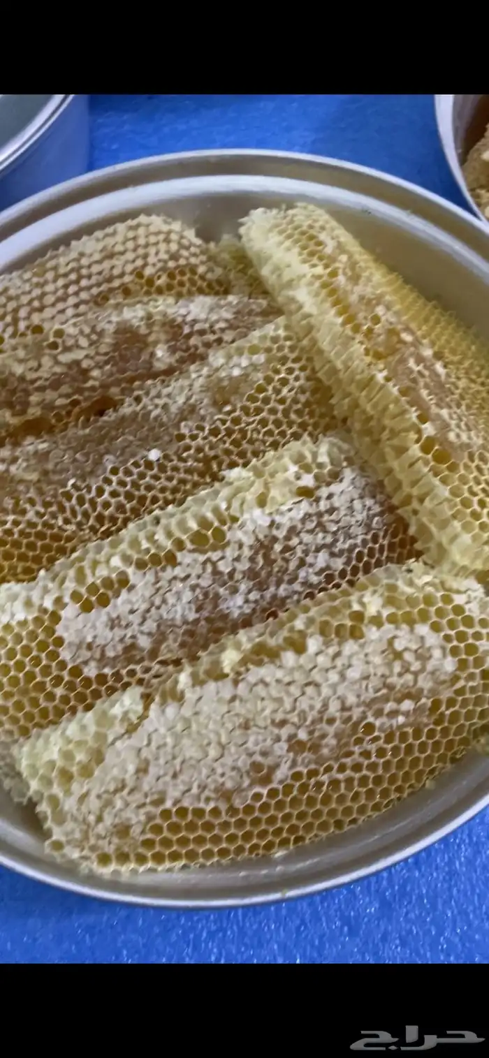 عسل سدر للبيع 11