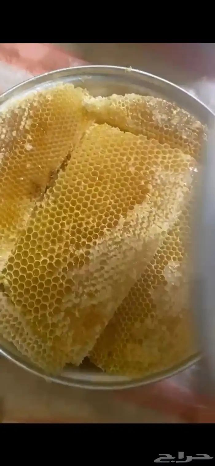 عسل سدر للبيع 3