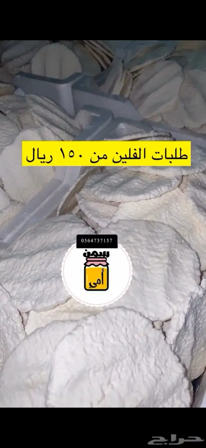 مضير شغل نظيف ومضمون 3