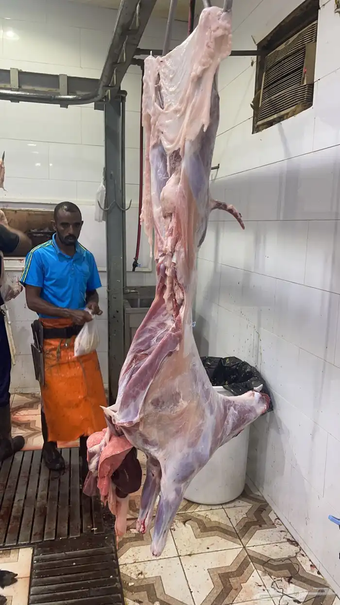 ذبايح بريه واعلاف طبيعيه يشهد الله 2