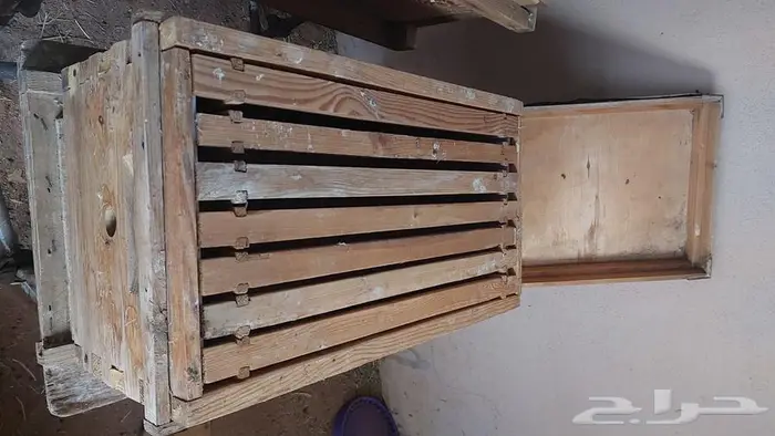 بقايا منحله 4