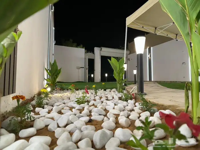 طلب رخصة  شاليه شوامخ للايجار اليومي حي القيروان 11