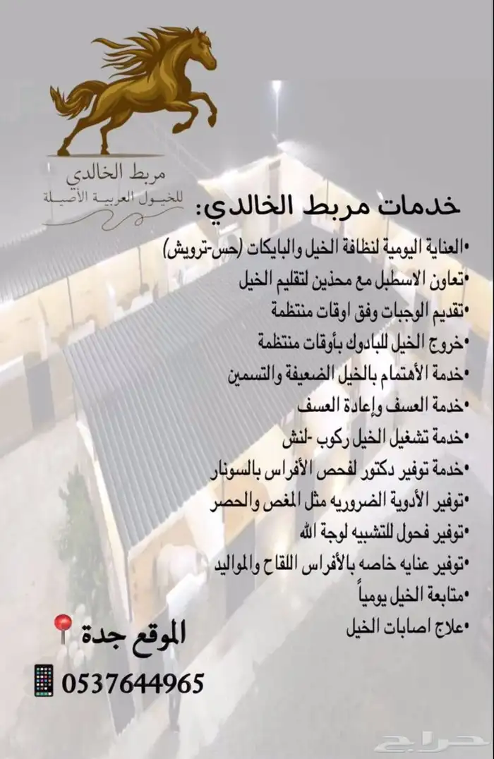 رحلات بحريه وخيول عربيه للايجار 2