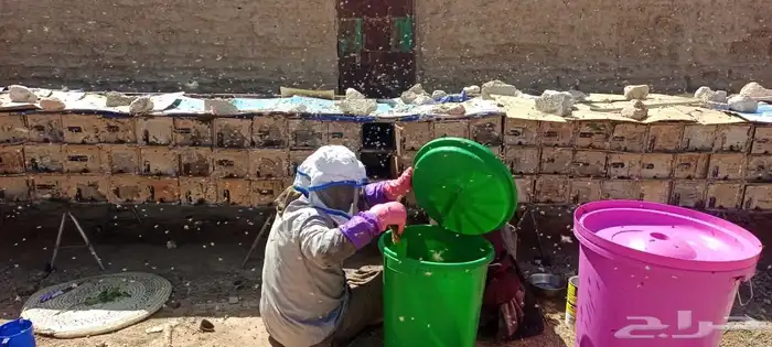 عسل سدر جرداني رقم 1 4