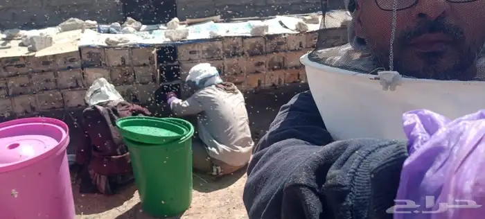 عسل سدر جرداني رقم 1 5