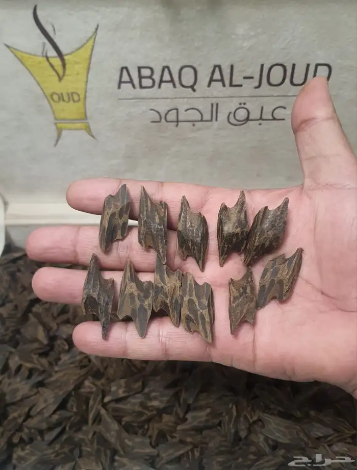 عود كمبودي تايقر محسن 0