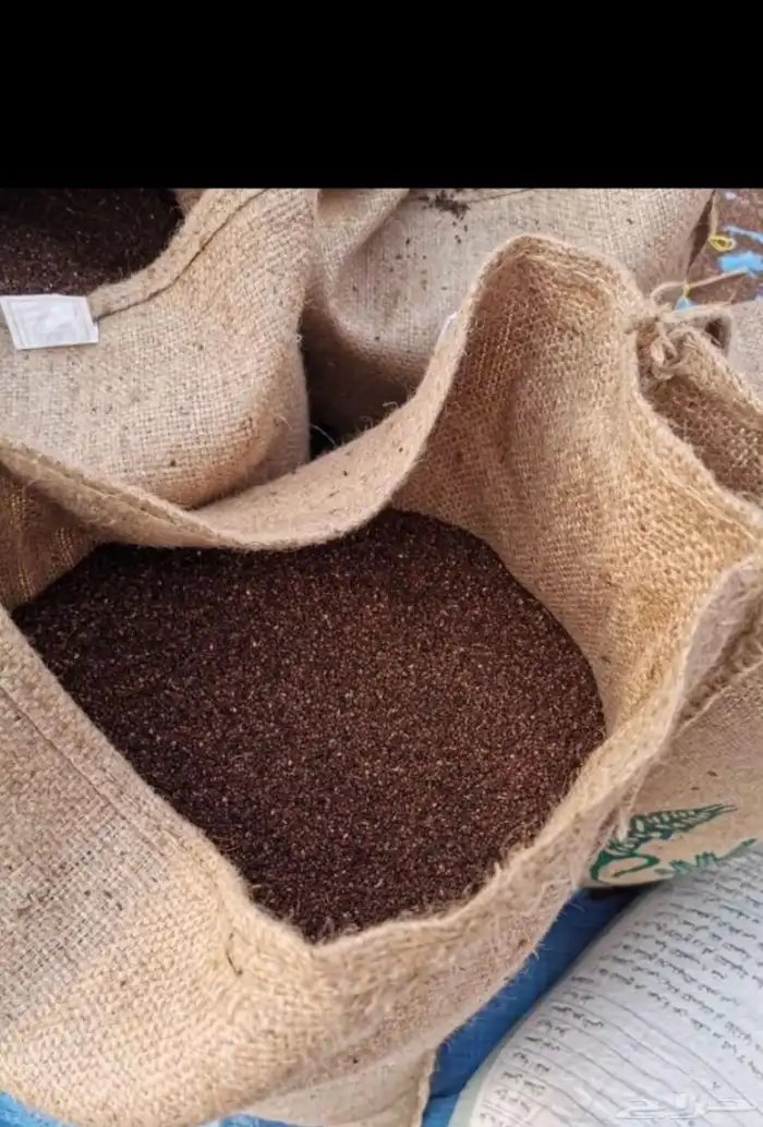 سدر بلدي عضوي وحناء المدينه ناعم مضمون جمله كميات بالطن 34