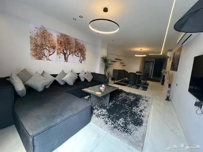 شقة بالقاهرة على النيل 3