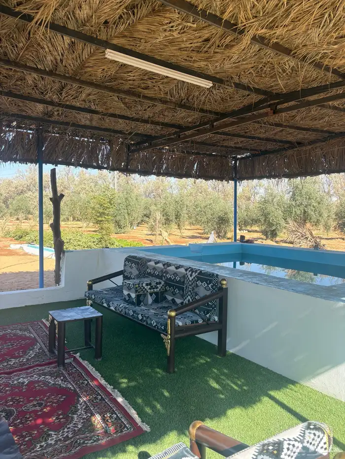 مخيم مزرعة ريف والبيت الريفي يوجد بركة سباحة للإيجار اليومي 25
