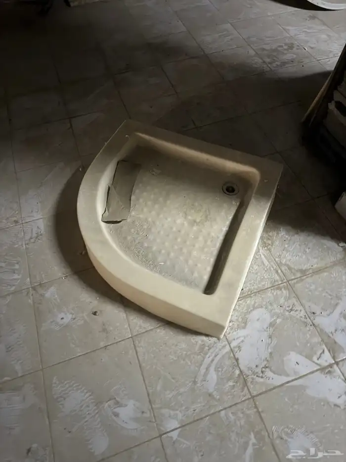 باينو شور 0