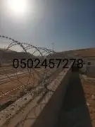 تركيب شبوك وزراعة النخيل 5