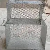 مصيده قطط قطه 2