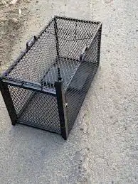 مصيده قطط قطه 4