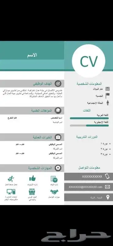سيرة ذاتية CV 2