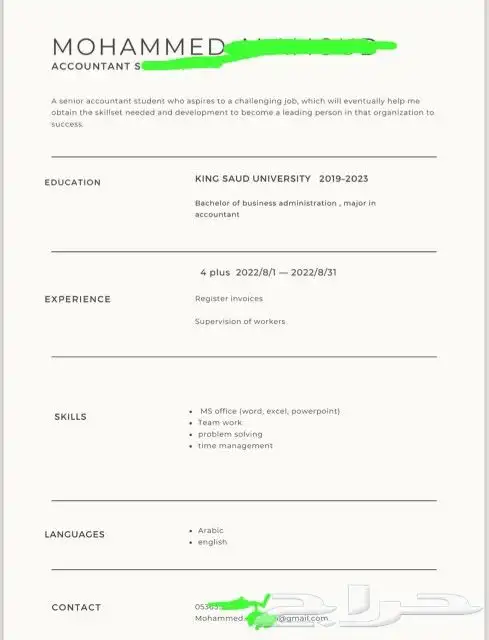سيرة ذاتية CV 3